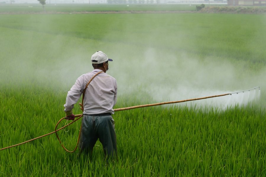 Utilizzo degli erogatori di feromone