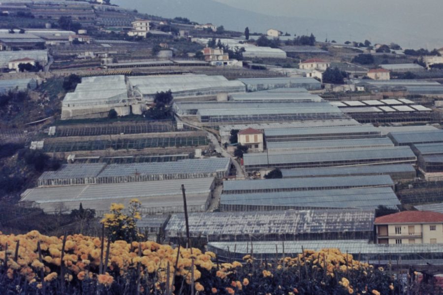 Verificare i fondi collati